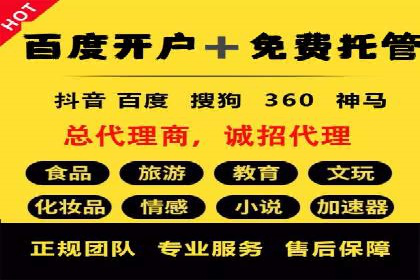 搜索引擎营销（SEM）在电商行业的投放策略案例